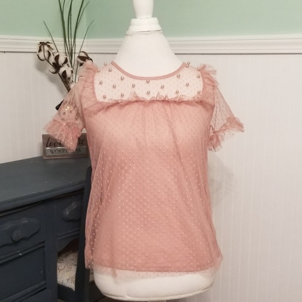 Crave Frame Sheer blush colored short sleeve top medium
